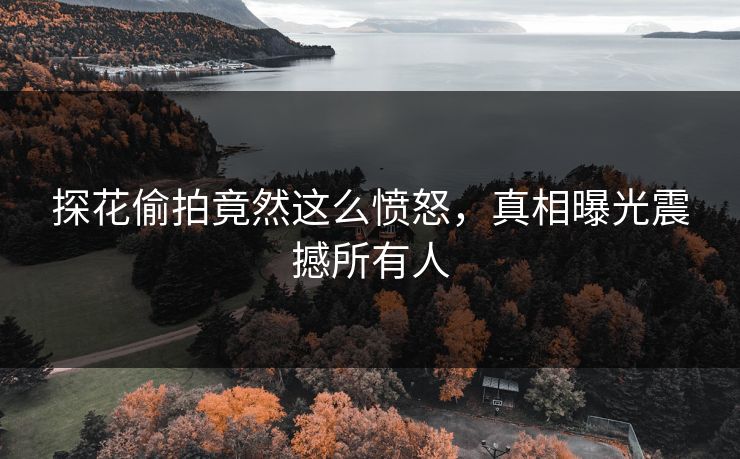 探花偷拍竟然这么愤怒，真相曝光震撼所有人