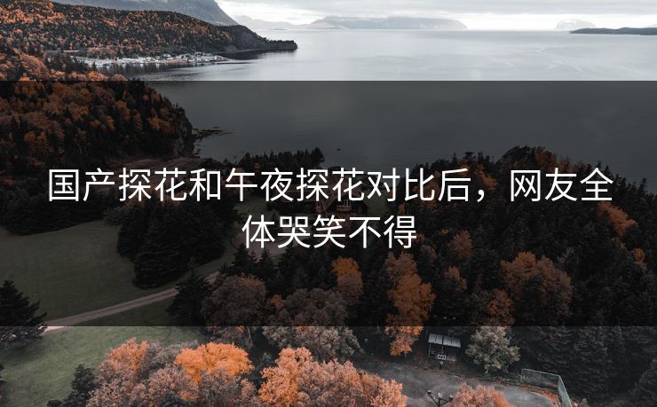 国产探花和午夜探花对比后，网友全体哭笑不得