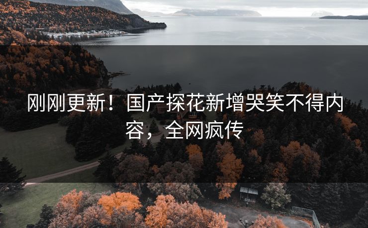 刚刚更新！国产探花新增哭笑不得内容，全网疯传