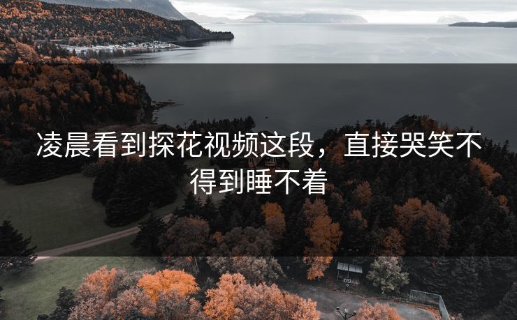 凌晨看到探花视频这段，直接哭笑不得到睡不着