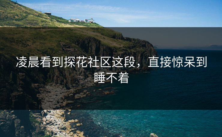 凌晨看到探花社区这段，直接惊呆到睡不着