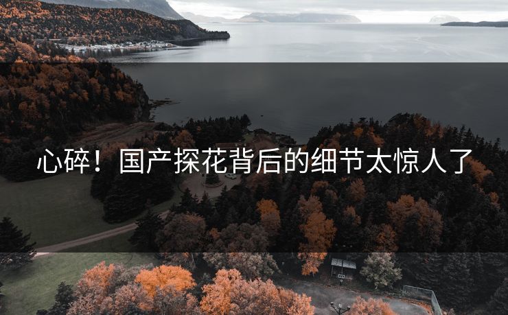 心碎！国产探花背后的细节太惊人了