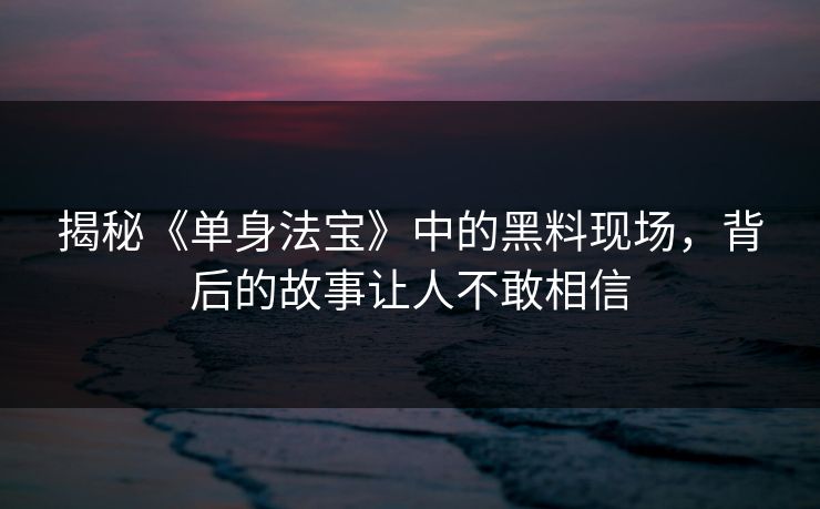 揭秘《单身法宝》中的黑料现场，背后的故事让人不敢相信