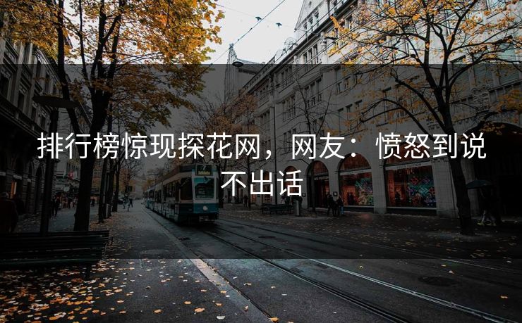排行榜惊现探花网，网友：愤怒到说不出话