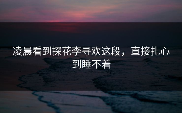 凌晨看到探花李寻欢这段，直接扎心到睡不着
