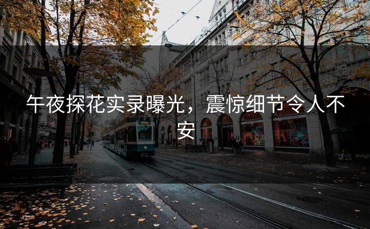 午夜探花实录曝光，震惊细节令人不安