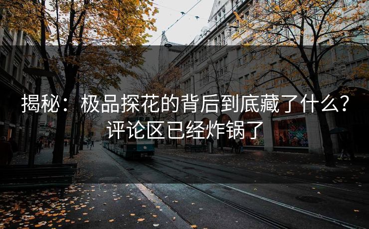 揭秘：极品探花的背后到底藏了什么？评论区已经炸锅了