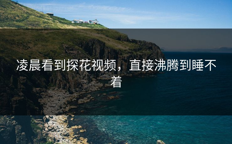 凌晨看到探花视频，直接沸腾到睡不着