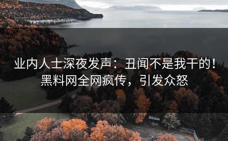 业内人士深夜发声：丑闻不是我干的！黑料网全网疯传，引发众怒