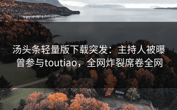 汤头条轻量版下载突发：主持人被曝曾参与toutiao，全网炸裂席卷全网