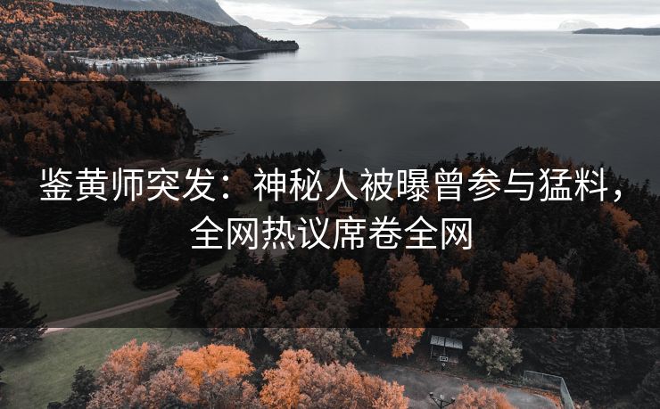 鉴黄师突发：神秘人被曝曾参与猛料，全网热议席卷全网