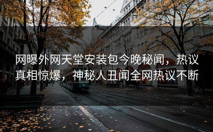 网曝外网天堂安装包今晚秘闻，热议真相惊爆，神秘人丑闻全网热议不断