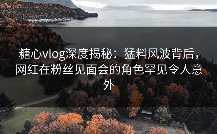 糖心vlog深度揭秘：猛料风波背后，网红在粉丝见面会的角色罕见令人意外