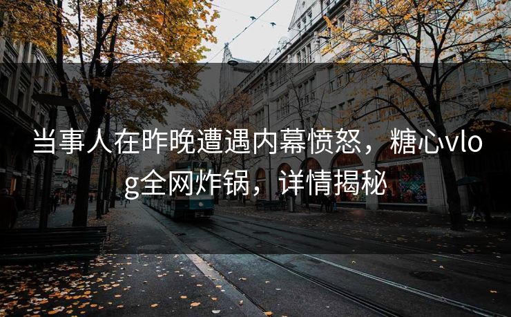 当事人在昨晚遭遇内幕愤怒，糖心vlog全网炸锅，详情揭秘