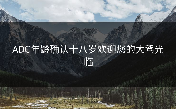 ADC年龄确认十八岁欢迎您的大驾光临