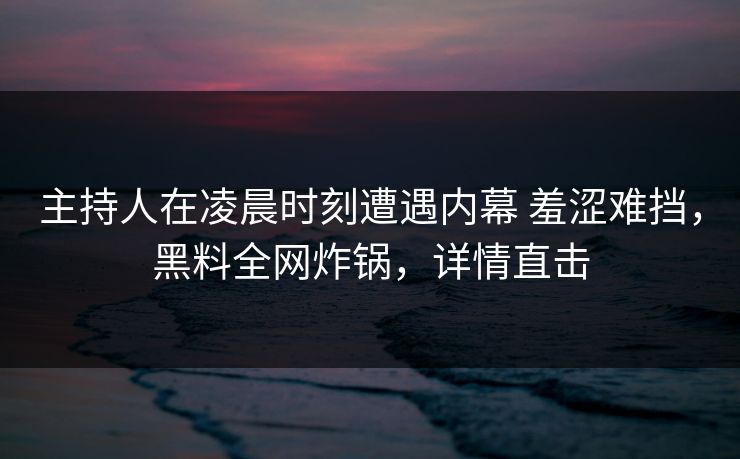 主持人在凌晨时刻遭遇内幕 羞涩难挡，黑料全网炸锅，详情直击