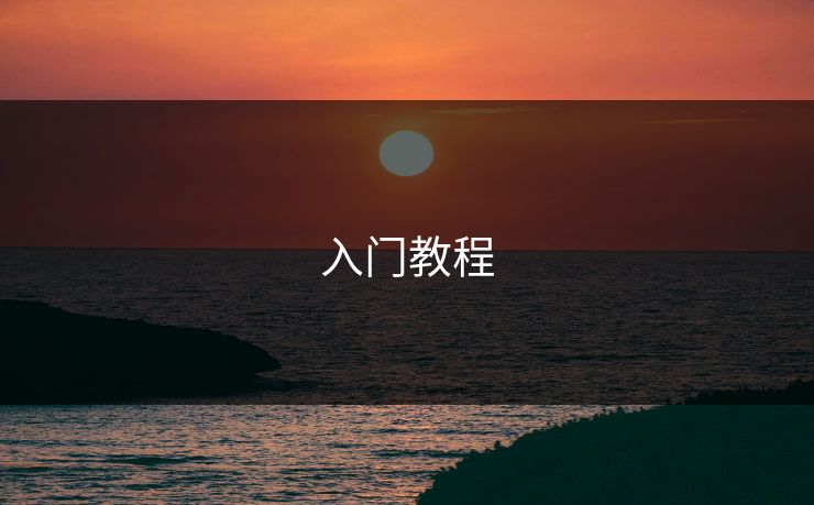 入门教程 入门教程