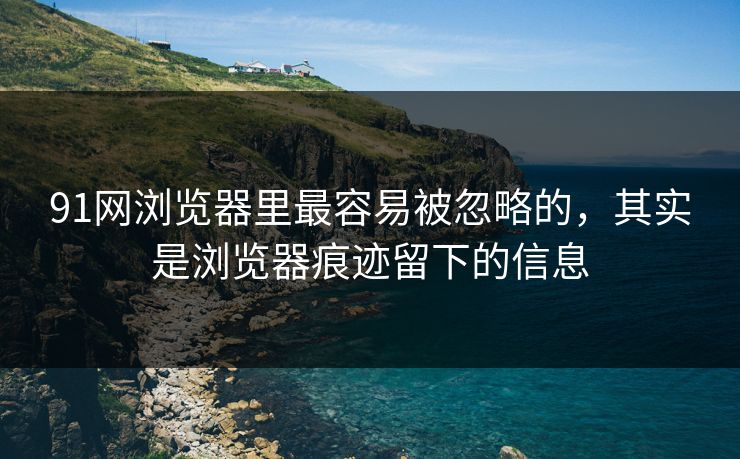 91网浏览器里最容易被忽略的，其实是浏览器痕迹留下的信息